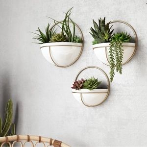 3-Piece Iron Wall Planter set